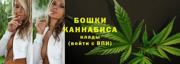 винт Гусев