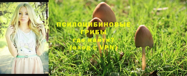 шишки Абдулино