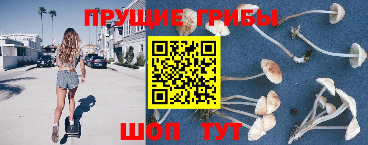 Ростов-на-Дону  Галлюциногенные грибы Psilocybe  Вход с VPN  купить наркотик  Галлюциногенные грибы Cubensis 